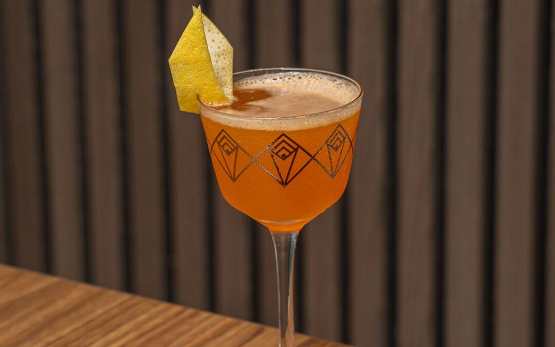 Niigata Paper Plane