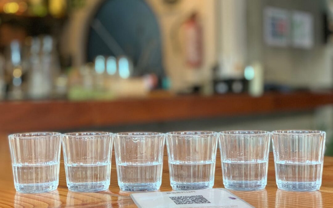 Beyond Mezcal: Distilled and Fermented in Mexico