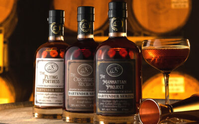 12 gift ideas for cocktail lovers on your list