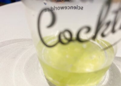 Shaking it up at Science of Cocktails