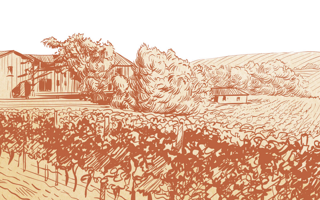 Spirit of wine country
