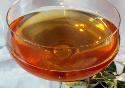 Holiday Champagne Punch