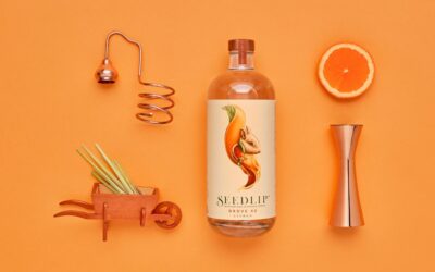 Dry, Damp or Doused? What to Drink this Winter