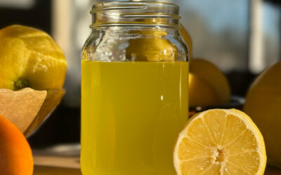 Lemon Aid