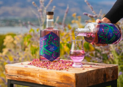 Noosh delivers Canada’s first premium gin infused with Persian botanicals