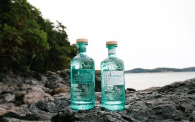 Inside Cathedral Gin: Crafted with B.C. barley and coastal spruce